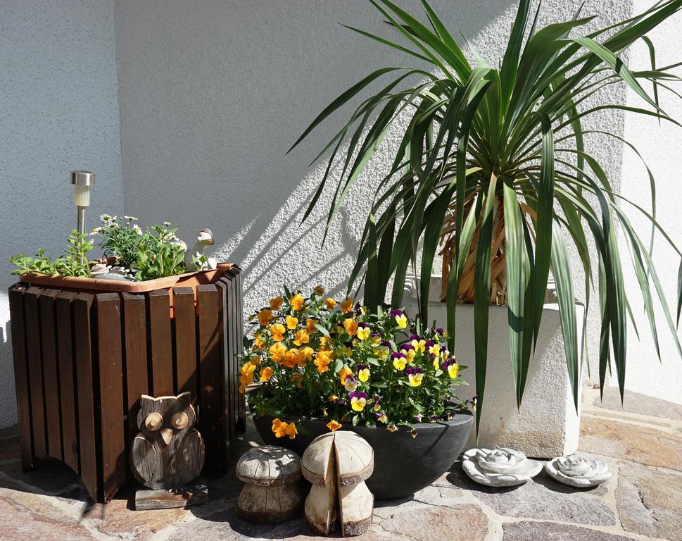 Haus Walser تارينز المظهر الخارجي الصورة
